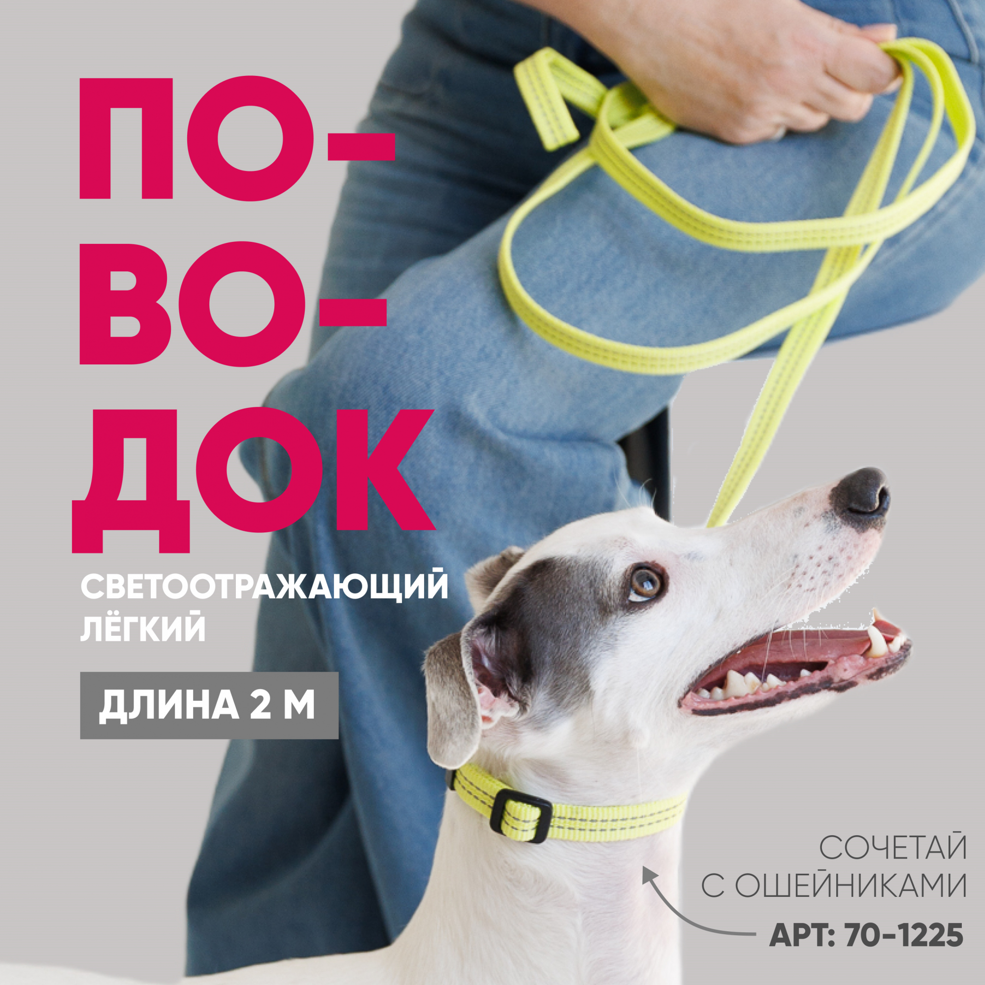 Поводок с карабином ZooOne, нейлон, светоотражающий 15мм*2м (ЛАЙМ)