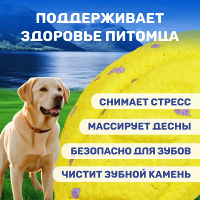 Игрушка для собак ETPU мяч "Рэгби" желтый FOFOS MightySoft