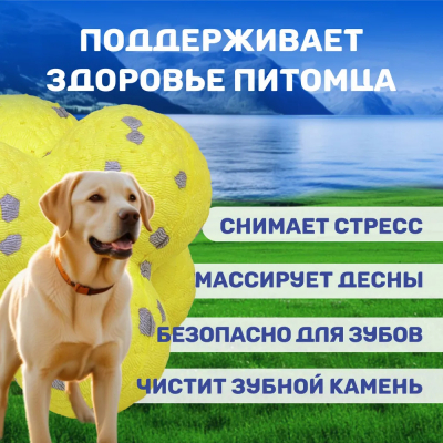 Игрушка для собак ETPU ультрапрочный Bounce FOFOS