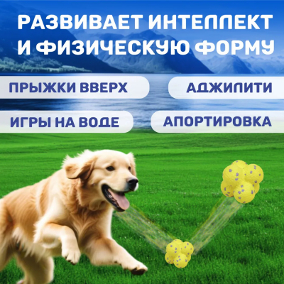 Игрушка для собак ETPU ультрапрочный Bounce FOFOS